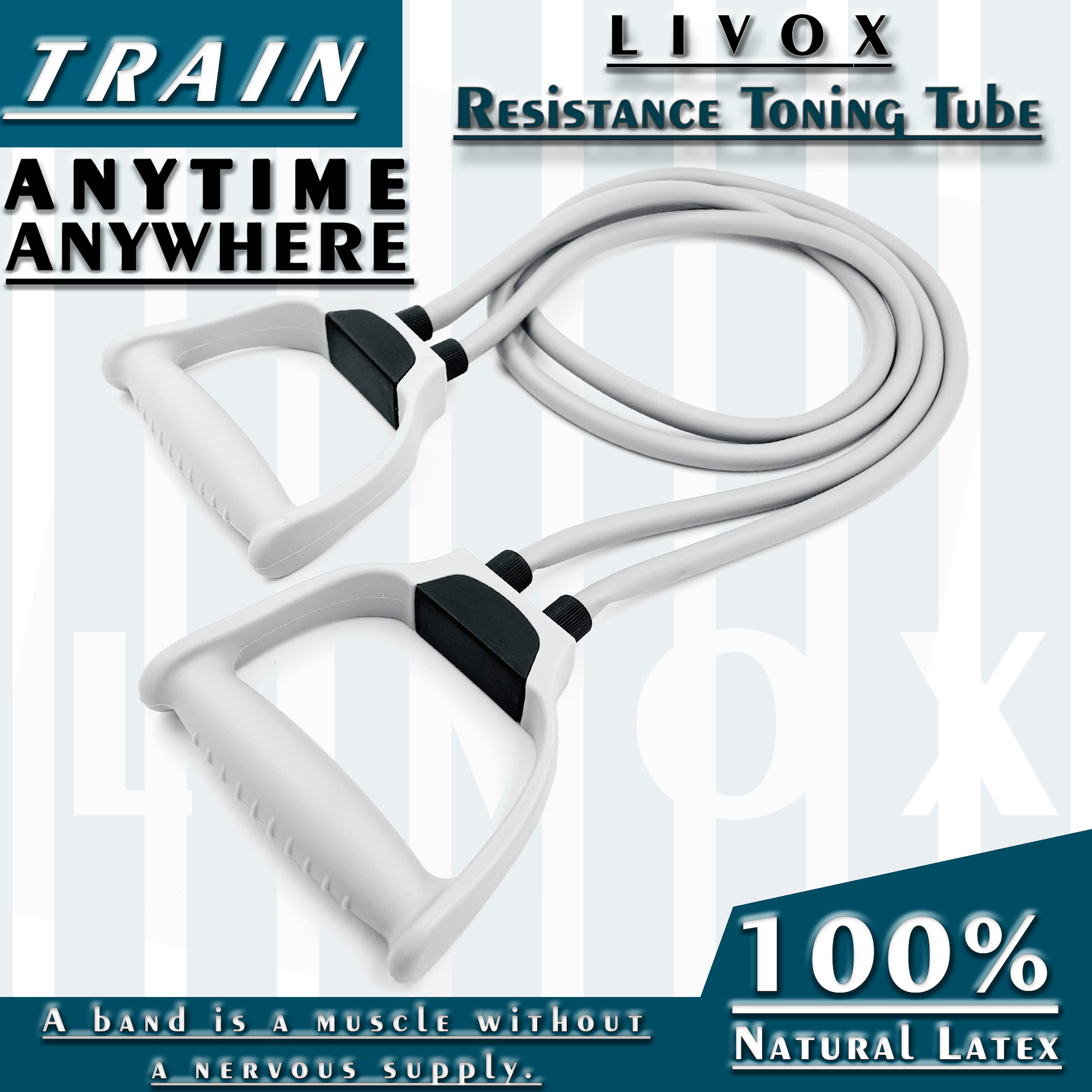 LIVOX® Tummy Trimmer Double Wheel Abs Roller Pushup Bar and Double